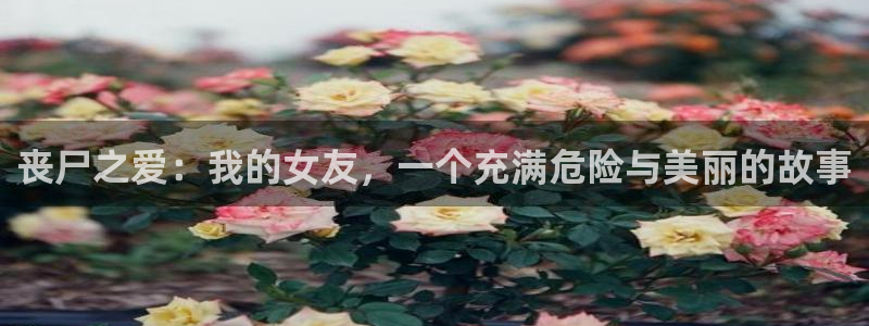 国内漫画社：丧尸之爱：我的女友，一个充满危险与美丽的故事