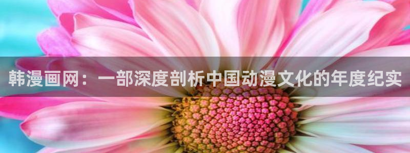 漫画社漫画下载：韩漫画网：一部深度剖析中国动漫文化的年度纪实